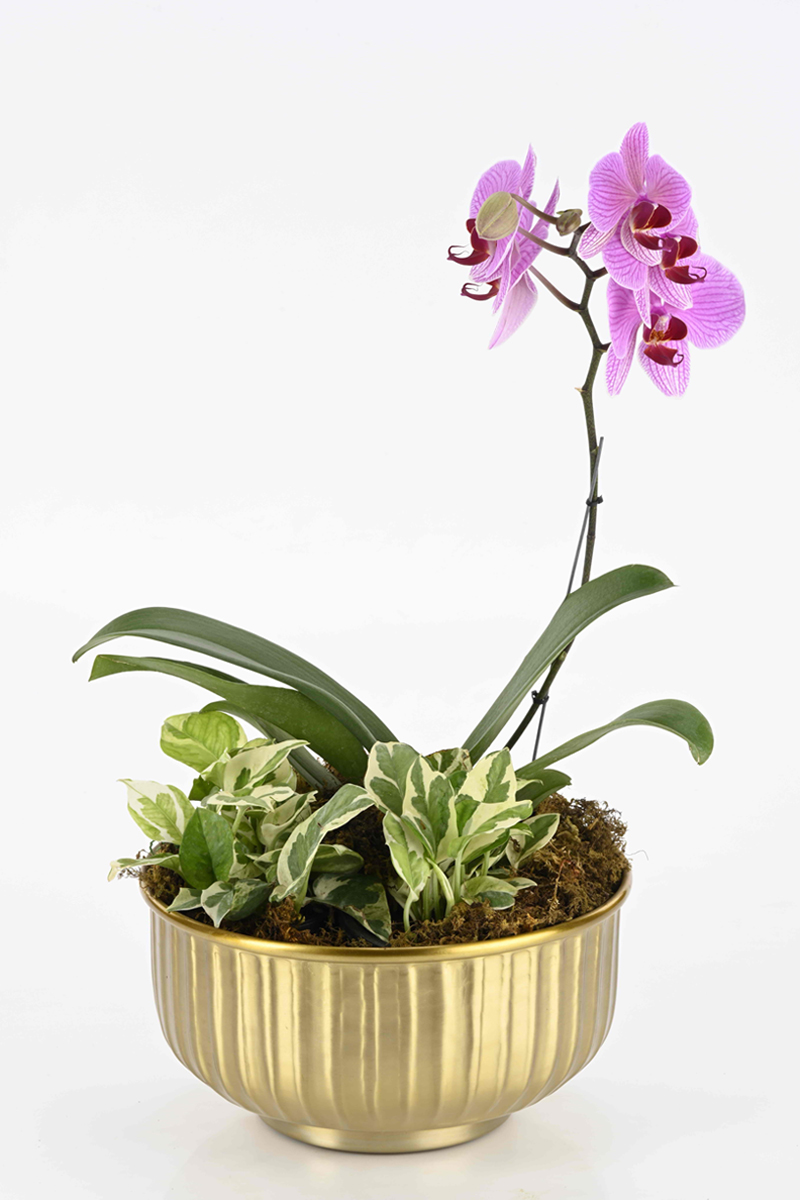 Groove gold metal planters  without stands 1