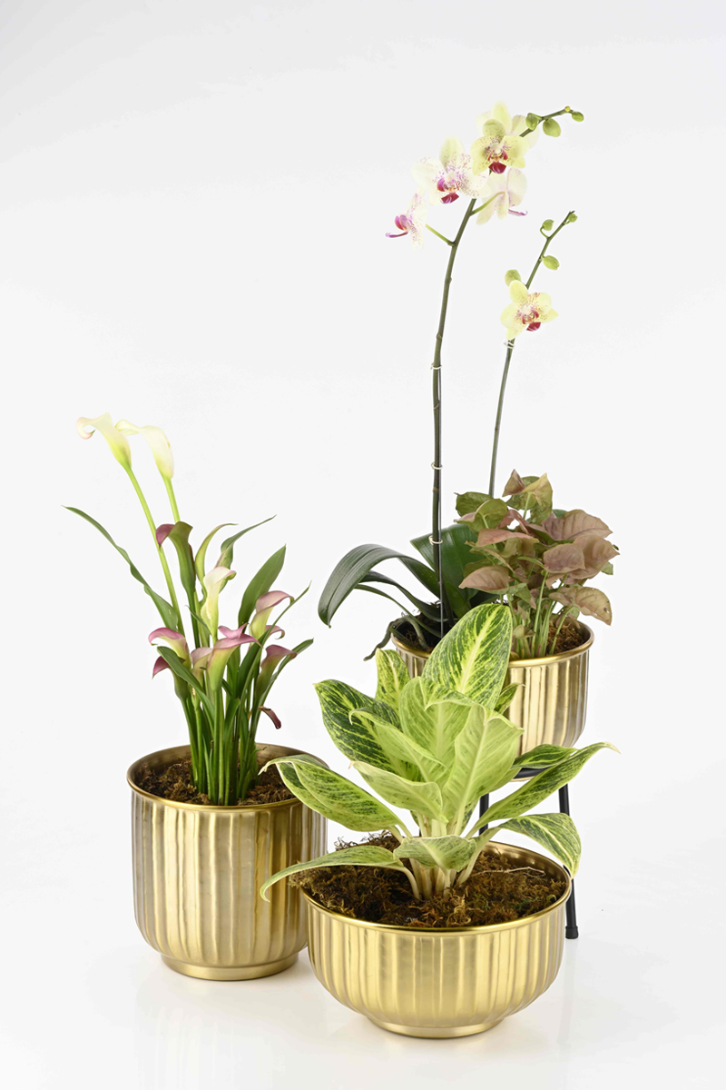 Groove gold metal planters  without stands 2