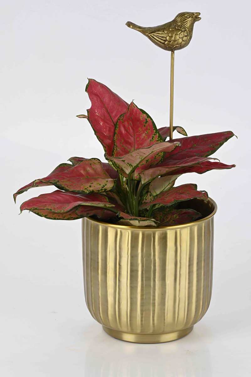 Groove gold metal planters  without stands 3