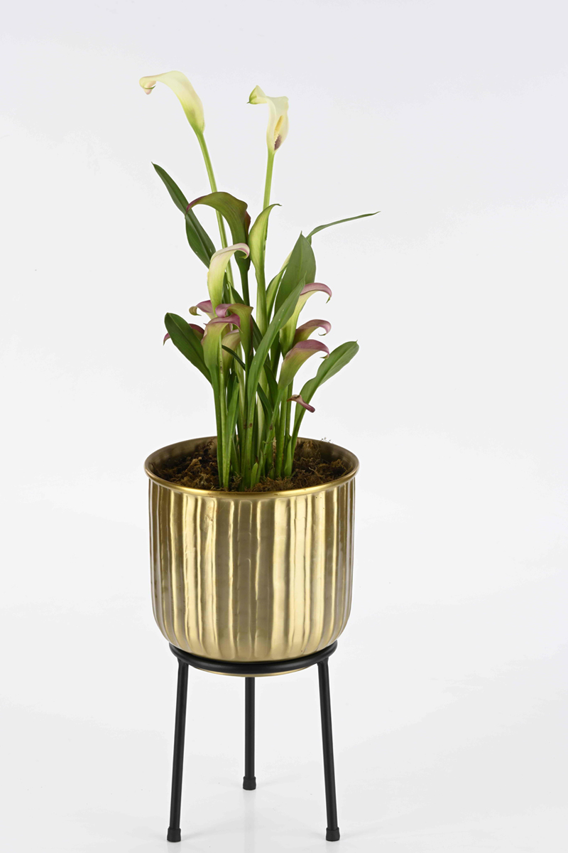 Groove gold metal planters  with stand 1