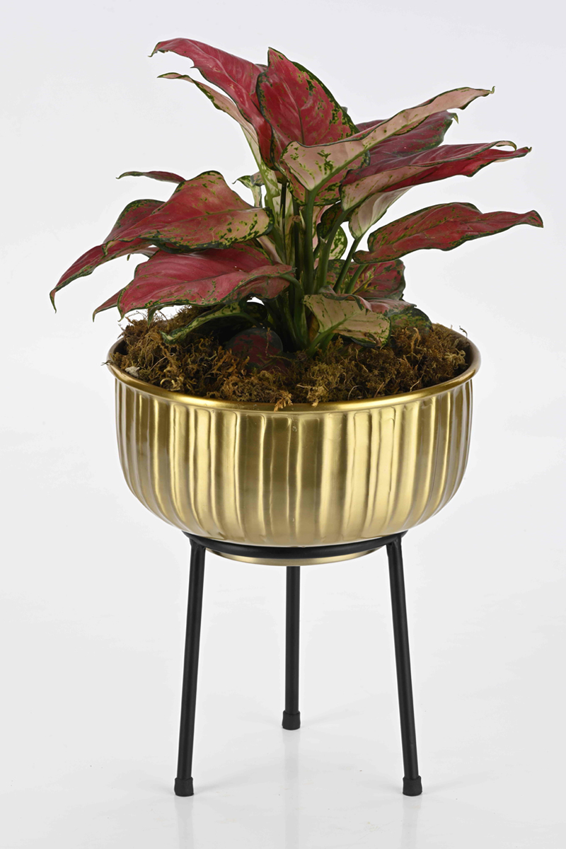Groove gold metal planters  with stand 2