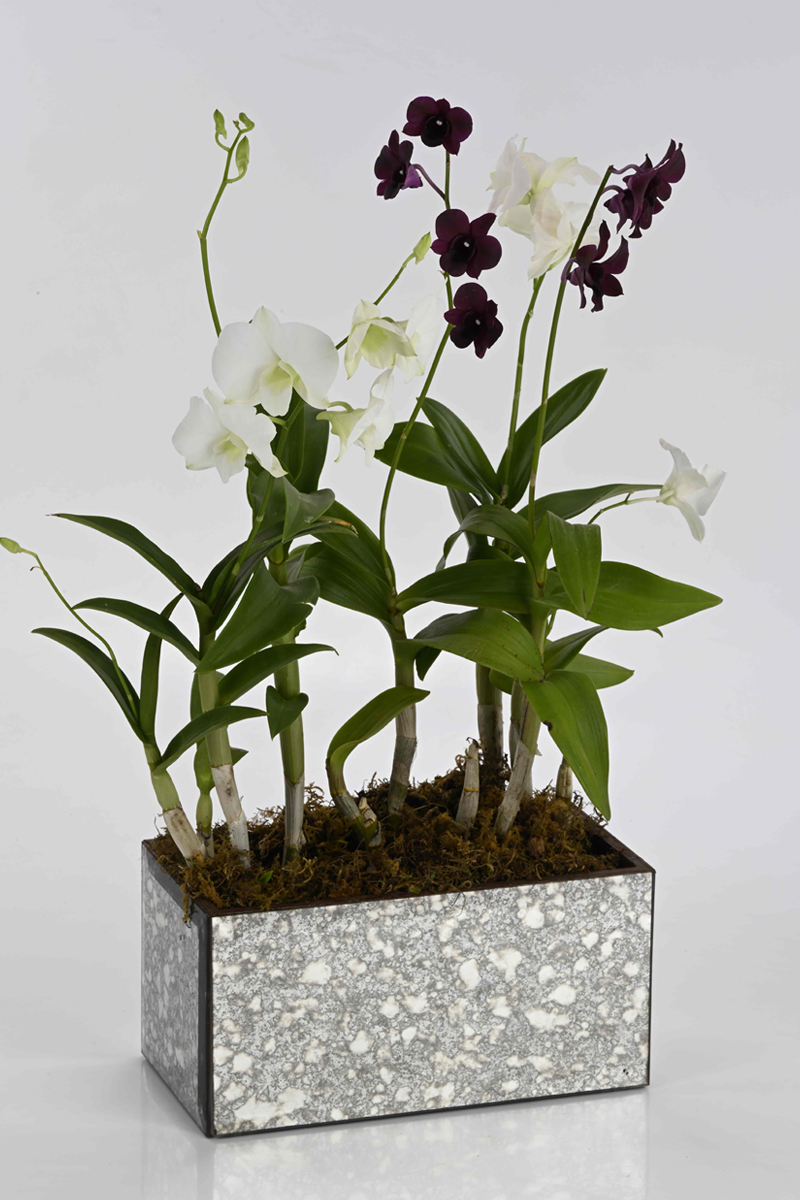 Luxe Planters 1