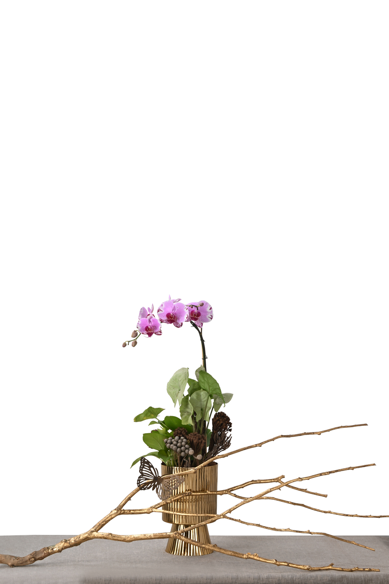 Large Green Plant 28