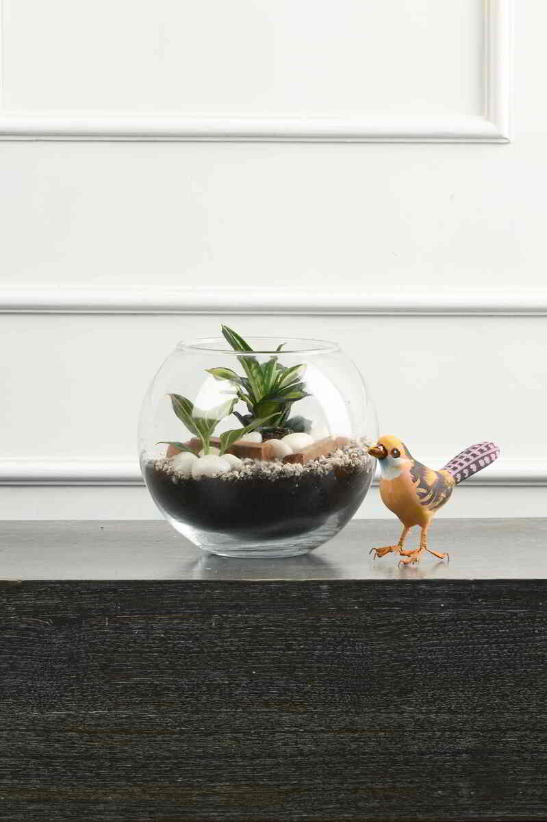 Large Green Plant 29