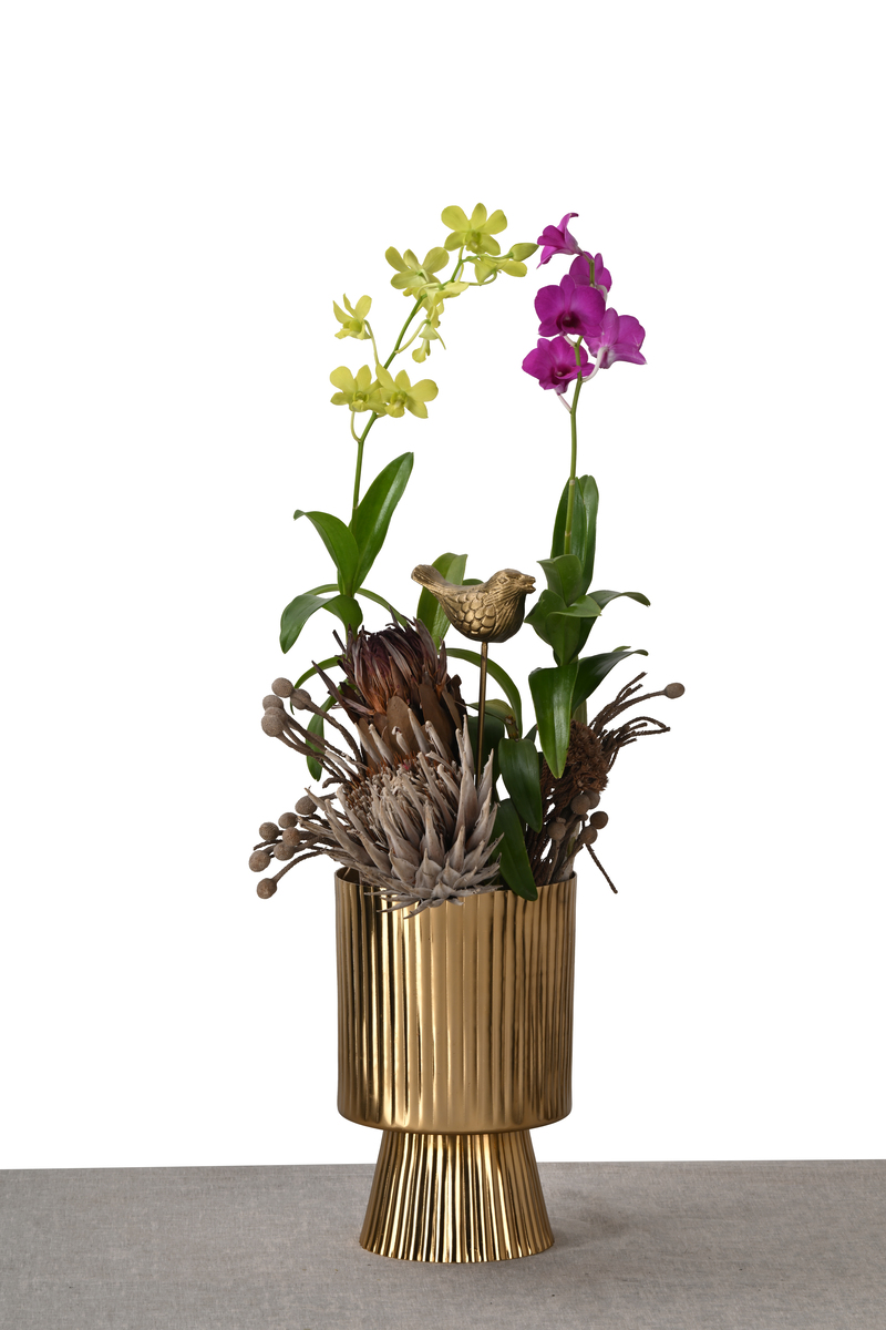 Large Green Plant 28