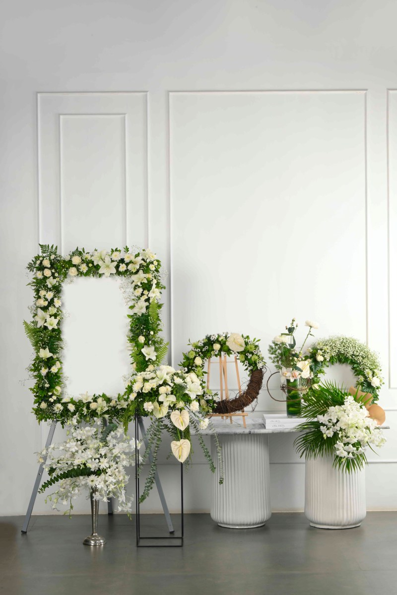 Large Green Plant 29