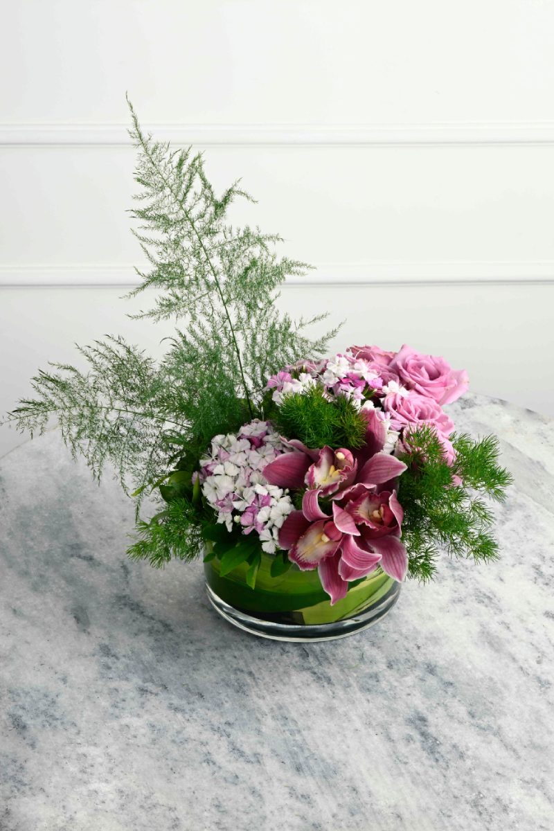 Large Green Plant 29