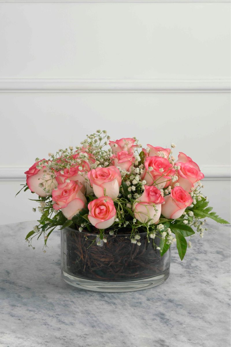 Large Green Plant 29