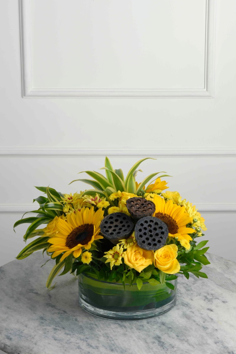 Large Green Plant 28