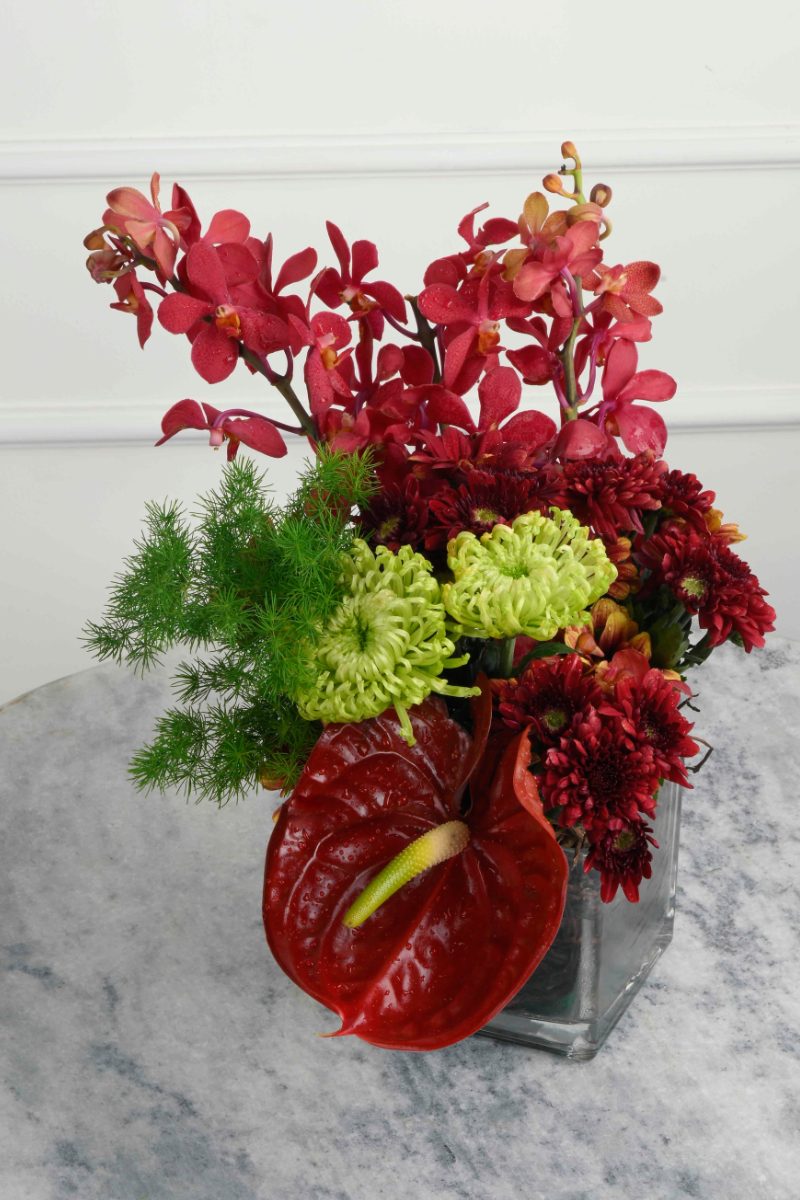 Large Green Plant 29