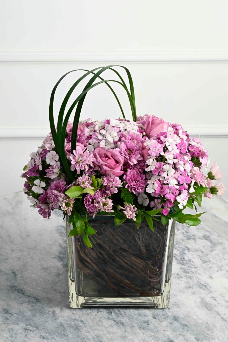 Large Green Plant 29