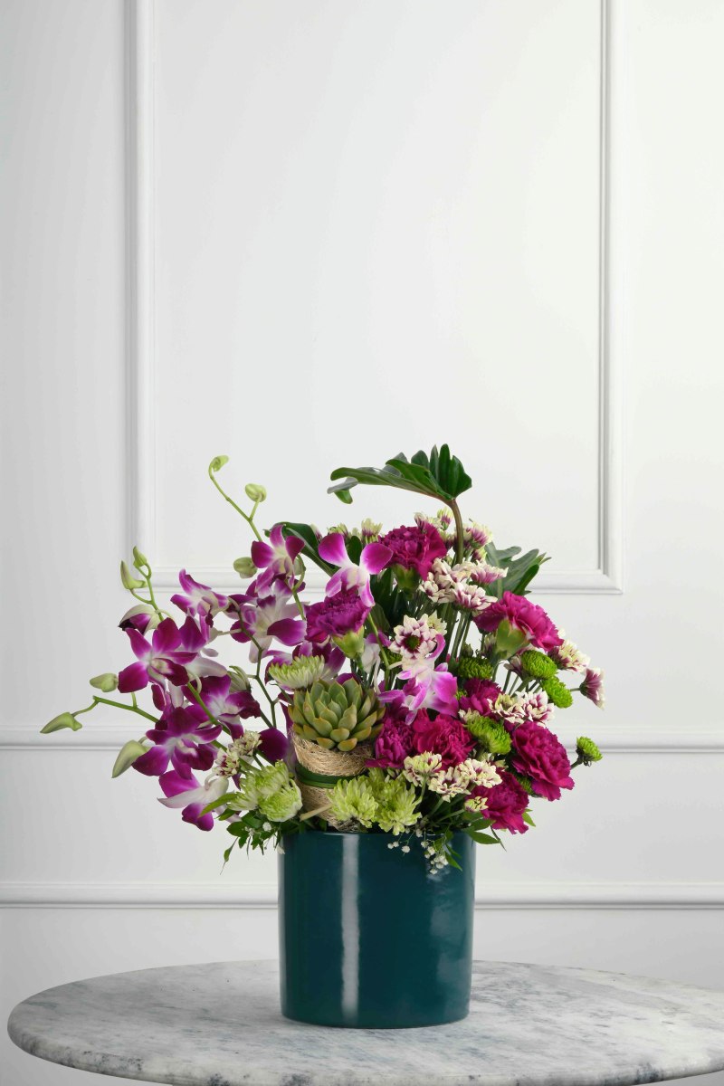 Large Green Plant 28