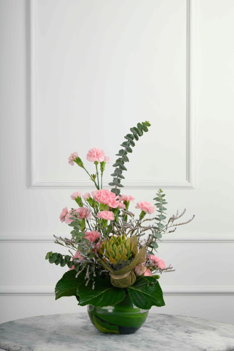 Large Green Plant 28