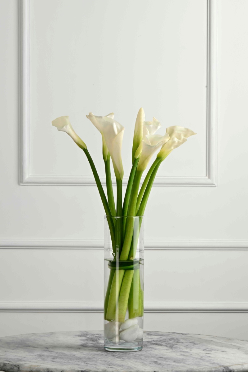 Large Green Plant 29