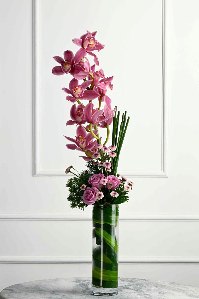 Large Green Plant 28