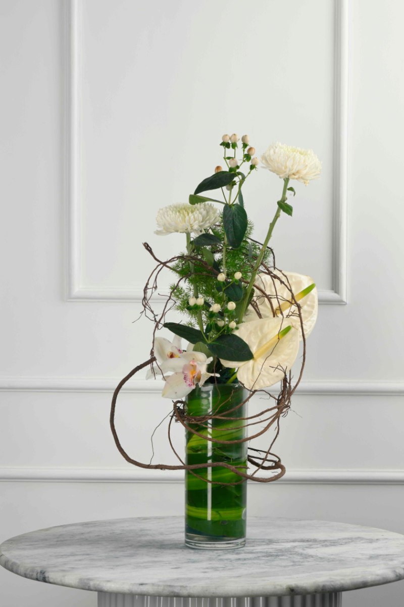 Large Green Plant 28