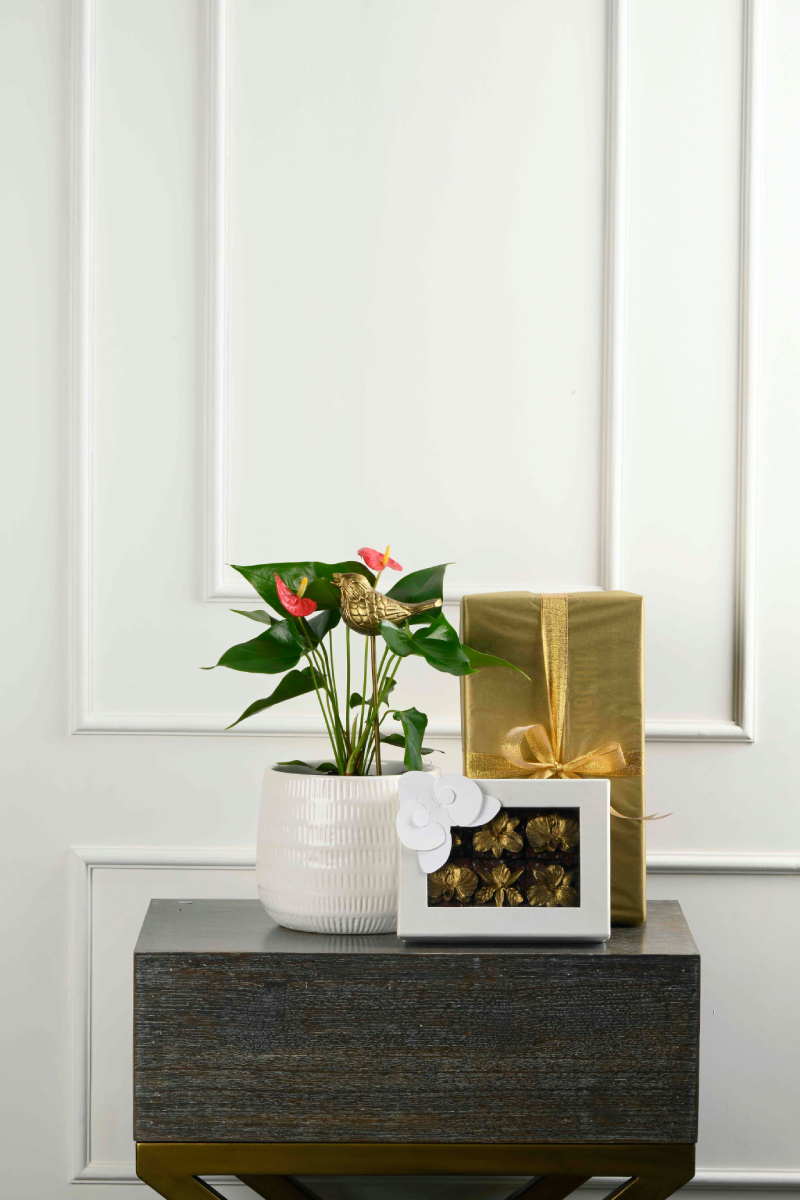 Large Green Plant 28