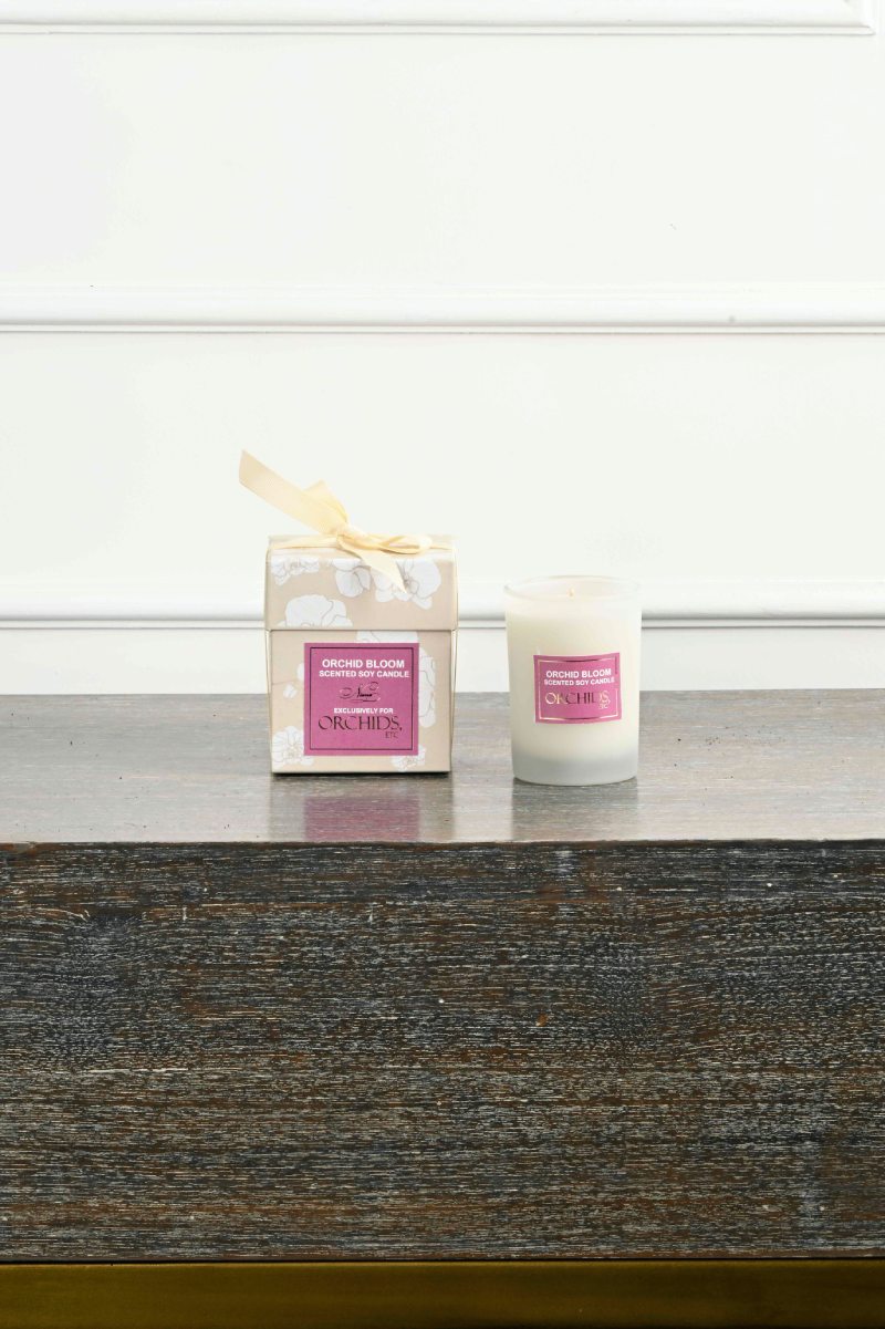 Large Green Plant 28