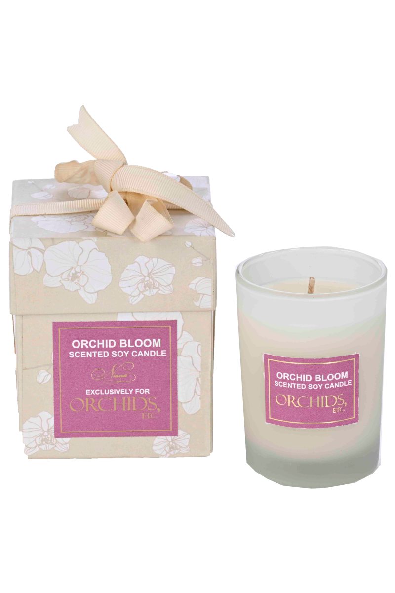 Large Green Plant 28