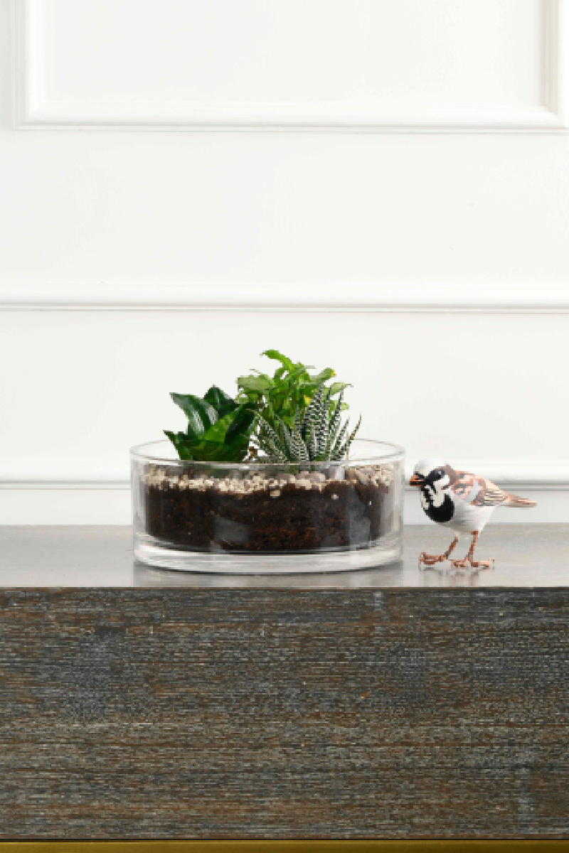 Large Green Plant 29